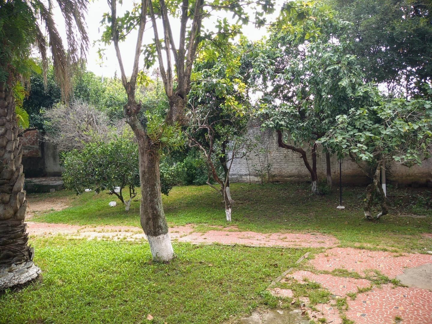 Casa, 6 quartos, 200 m² - Foto 9