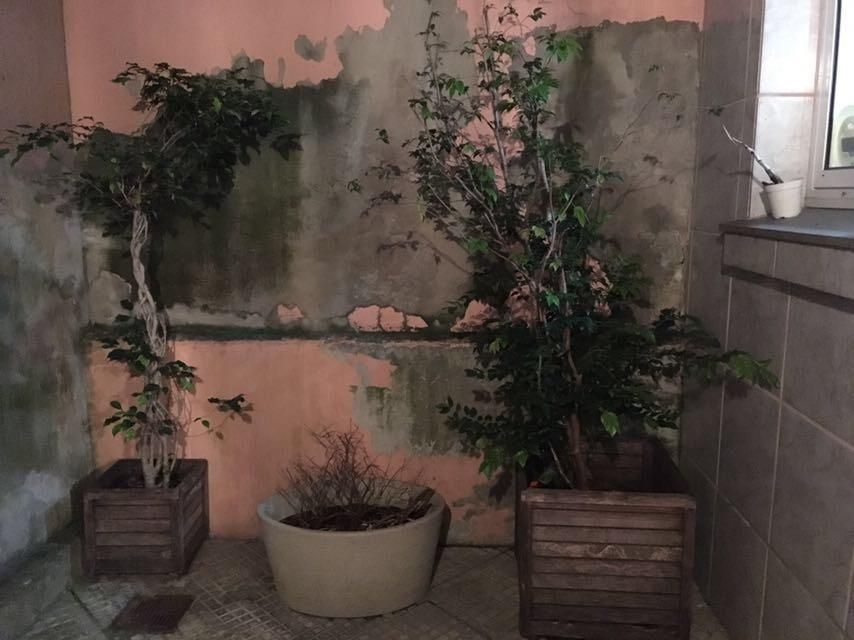 Casa, 3 quartos, 116 m² - Foto 23