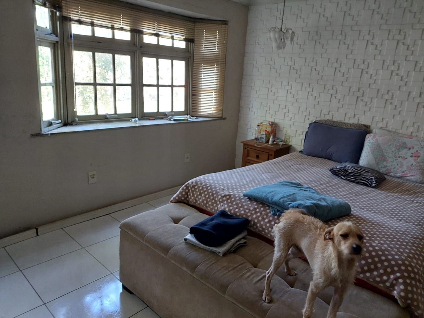 Casa, 3 quartos, 240 m² - Foto 7