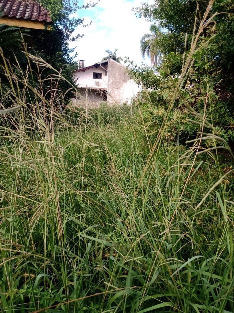 Terreno, 667 m² - Foto 6