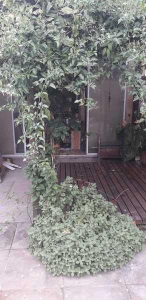 Casa, 3 quartos, 170 m² - Foto 32