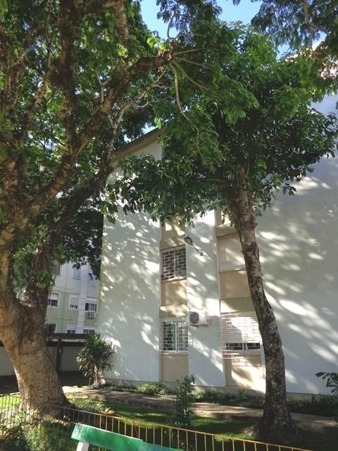Apartamento, 2 quartos, 54 m² - Foto 14