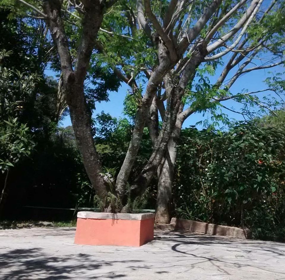 Casa, 3 quartos, 130 m² - Foto 7