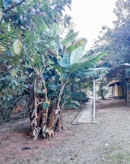 Casa à venda com 3 quartos, 135m² - Foto 2