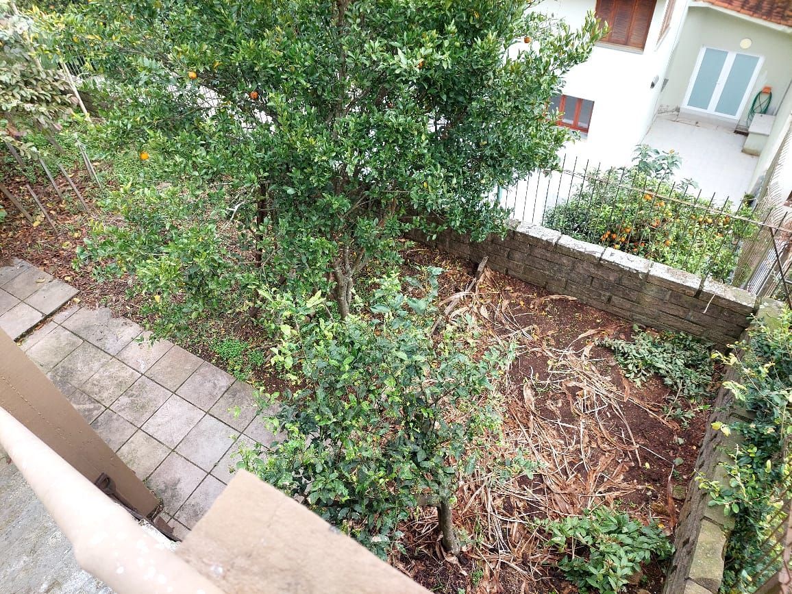 Casa, 4 quartos, 373 m² - Foto 80