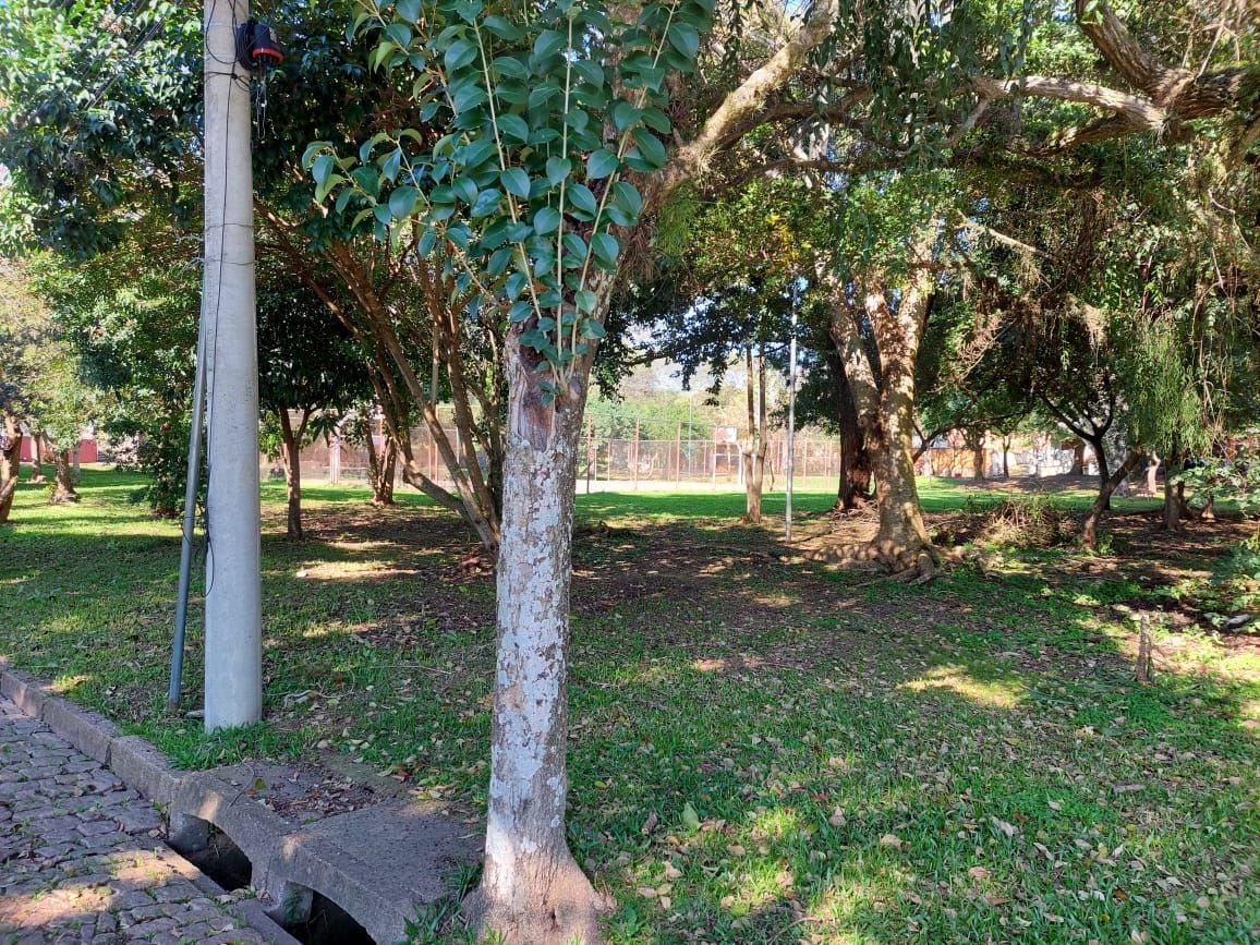 Terreno, 483 m² - Foto 8