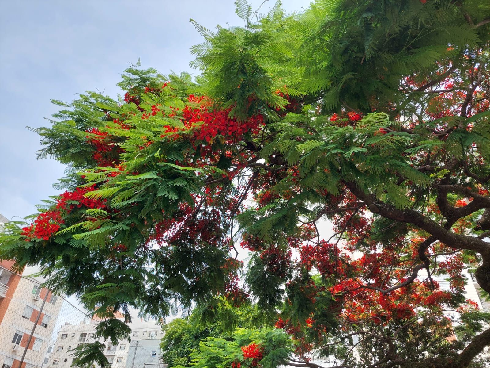 Apartamento, 2 quartos, 54 m² - Foto 17