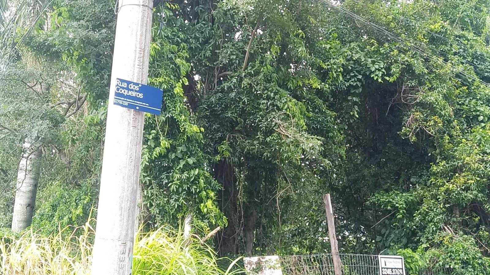 Terreno, 3597 m² - Foto 7