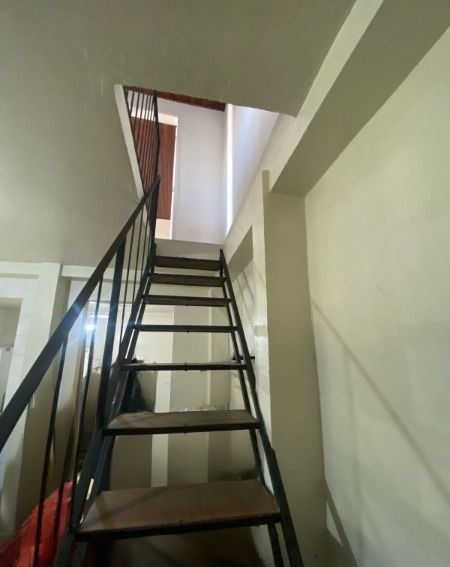 Casa, 4 quartos, 270 m² - Foto 12