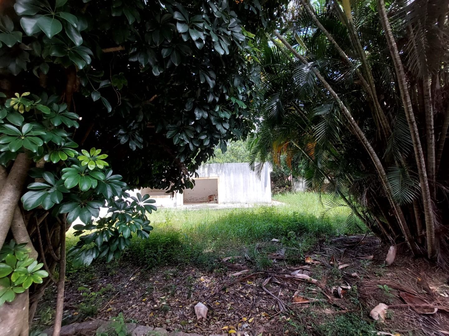 Terreno à venda, 4400m² - Foto 4