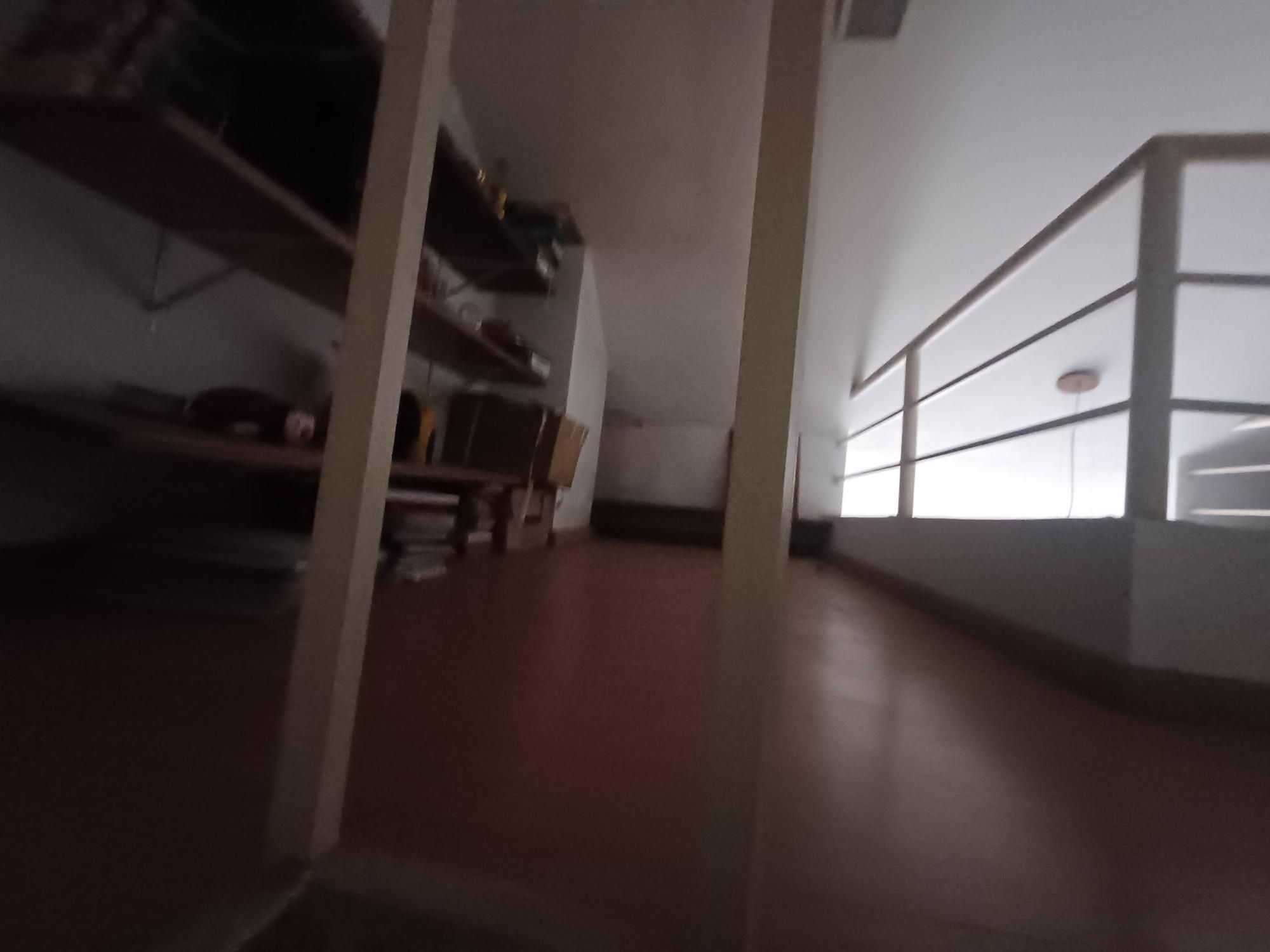Casa, 5 quartos, 500 m² - Foto 22