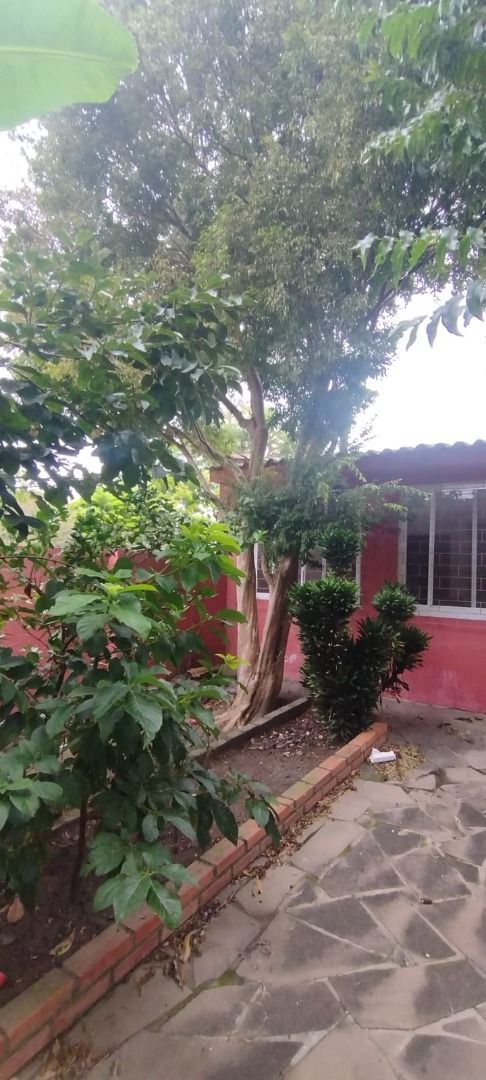 Casa, 3 quartos, 223 m² - Foto 37