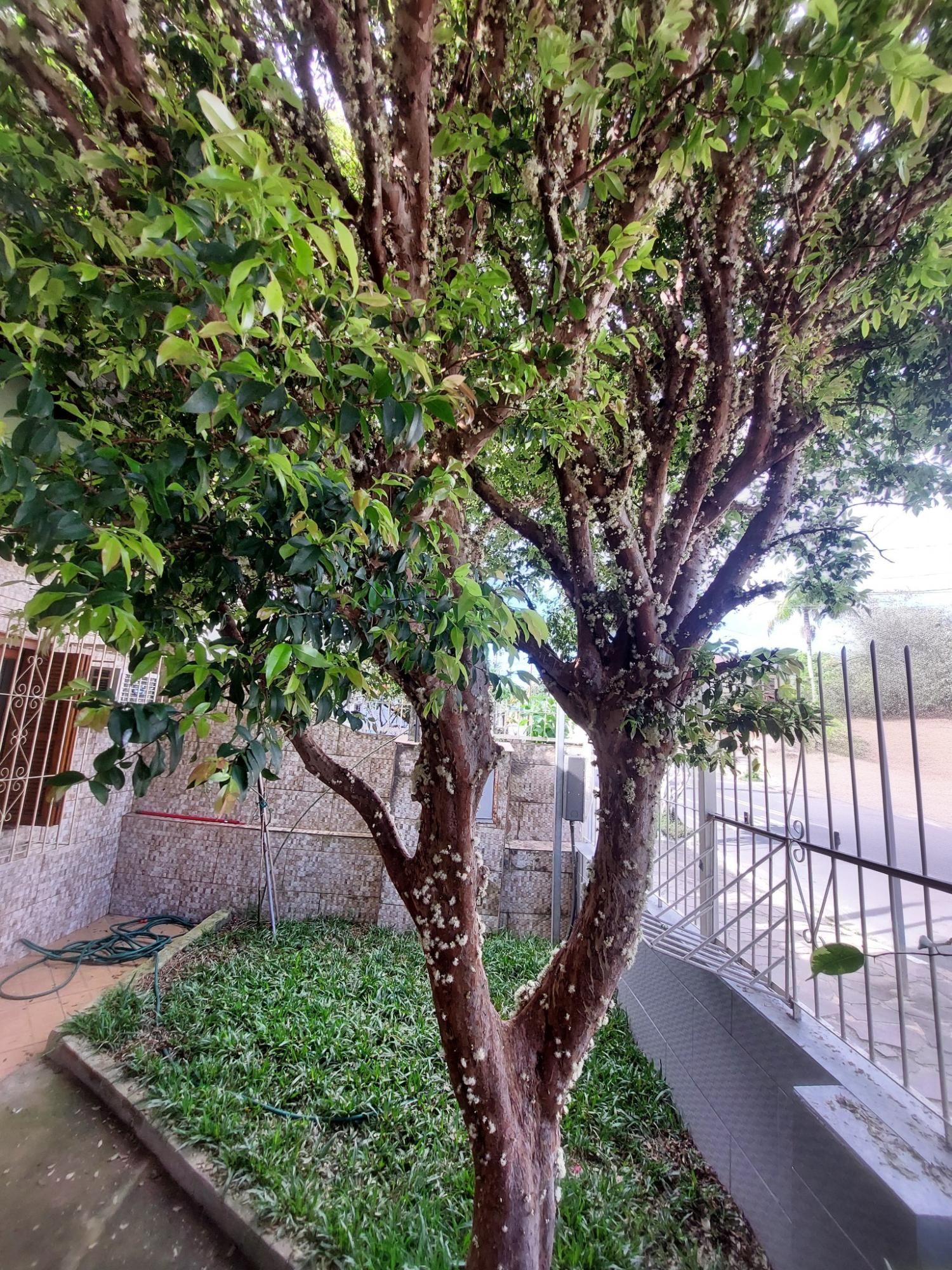 Casa, 3 quartos, 107 m² - Foto 29