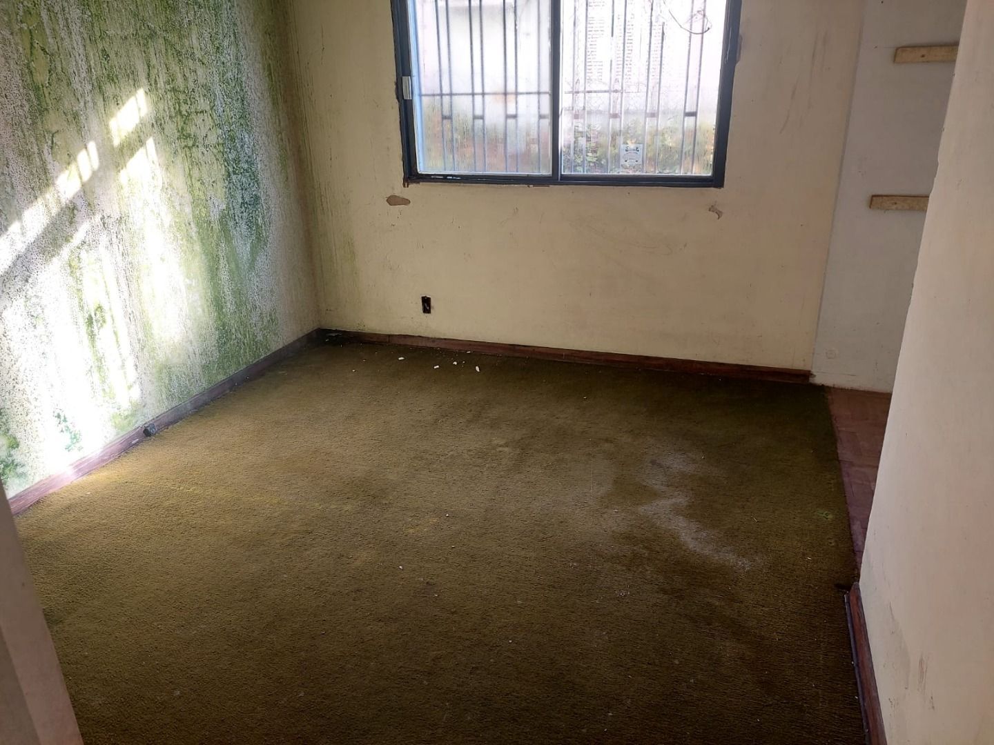 Casa, 3 quartos, 250 m² - Foto 10