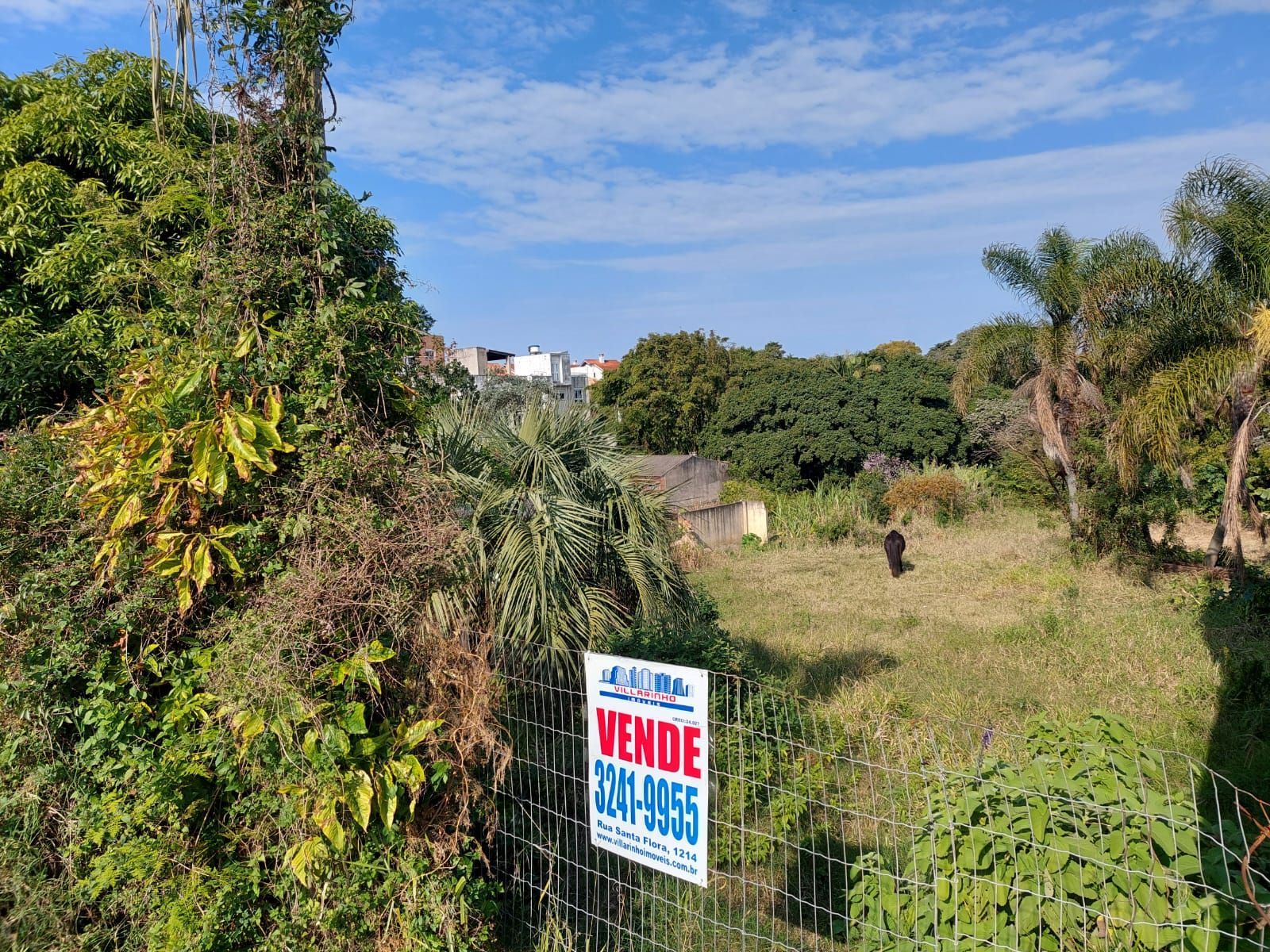 Terreno, 1500 m² - Foto 11