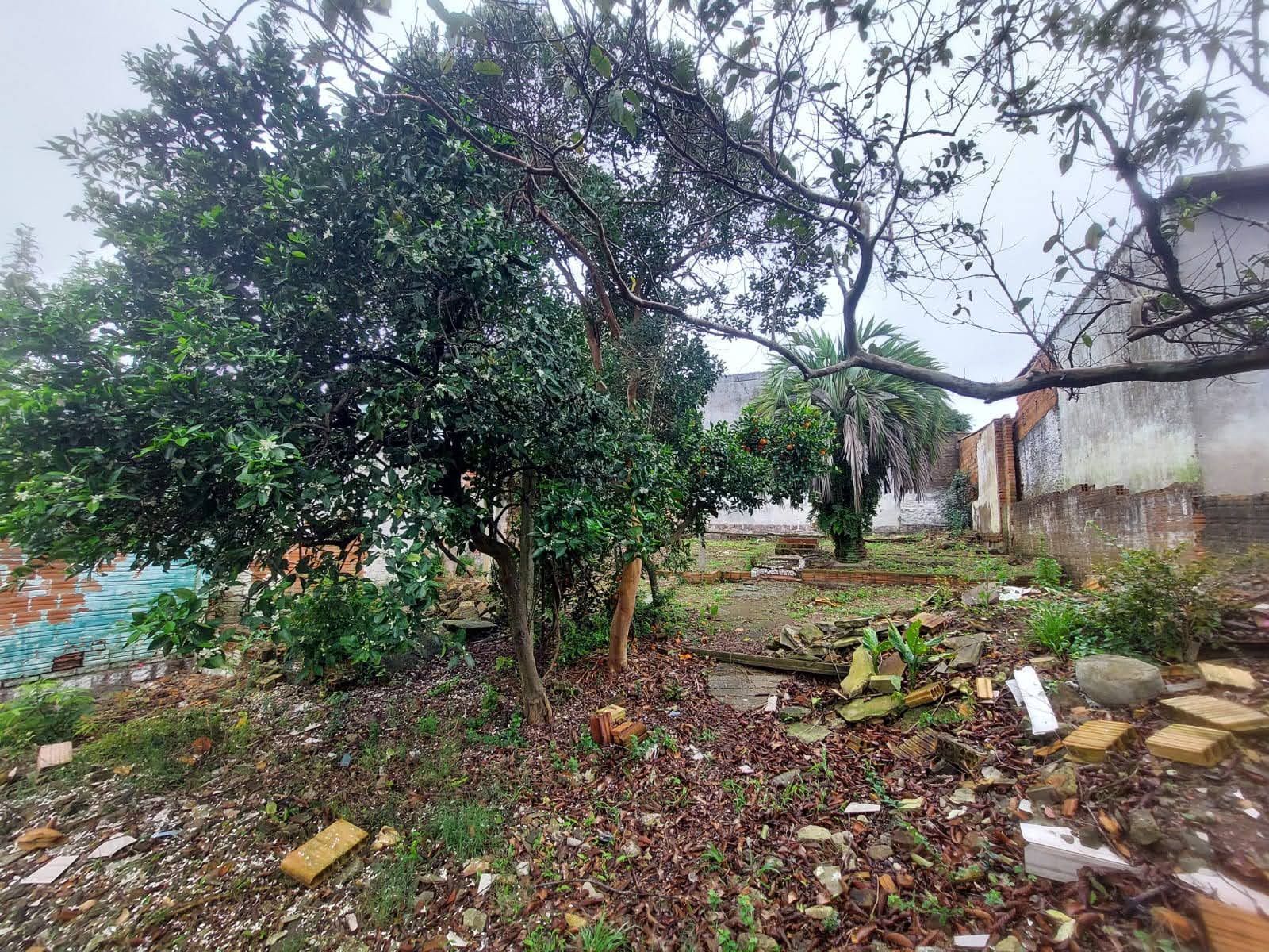Terreno, 300 m² - Foto 14