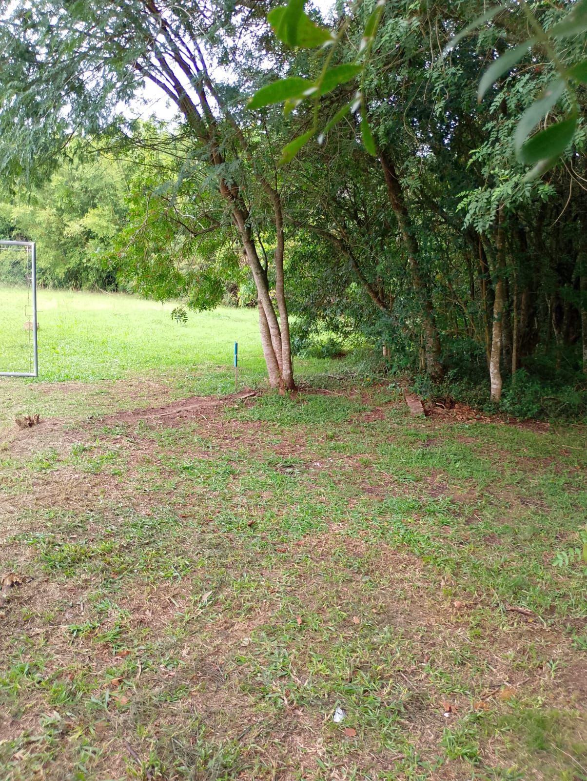 Terreno, 138 m² - Foto 7