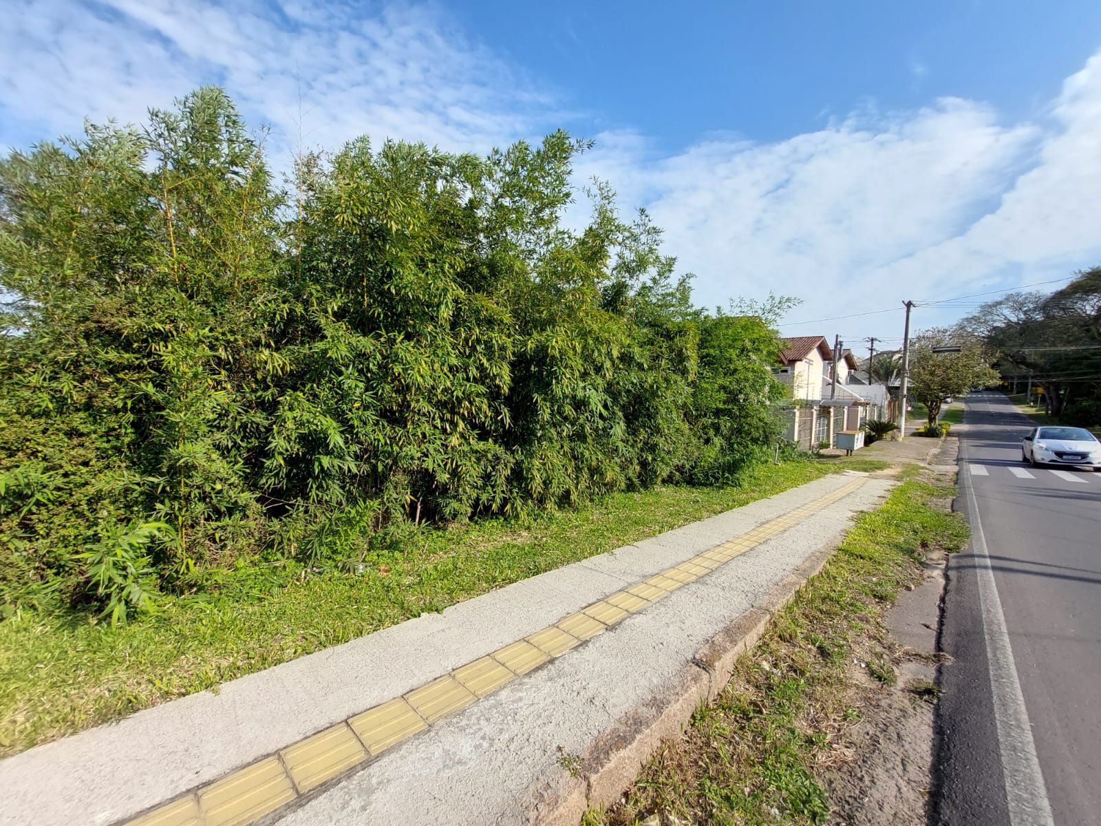 Terreno, 1500 m² - Foto 3