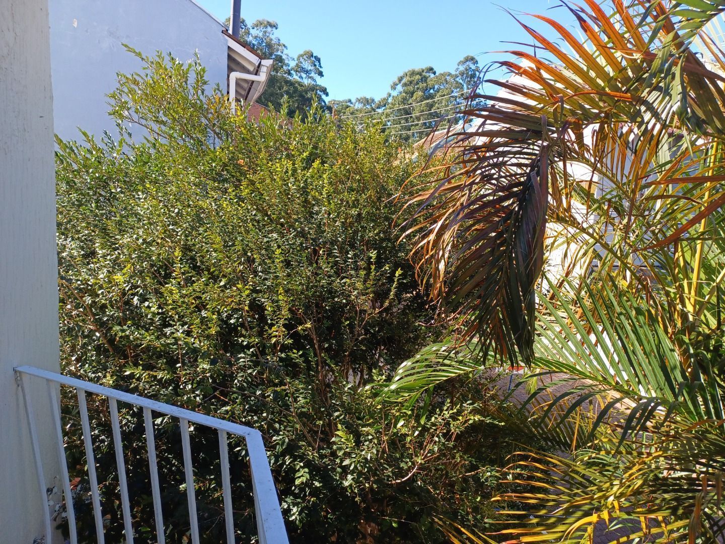 Casa, 3 quartos, 161 m² - Foto 17