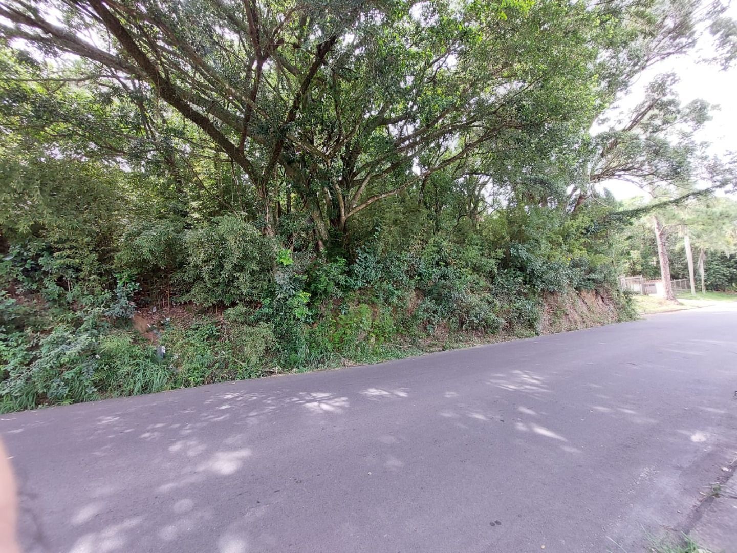 Terreno, 6700 m² - Foto 7