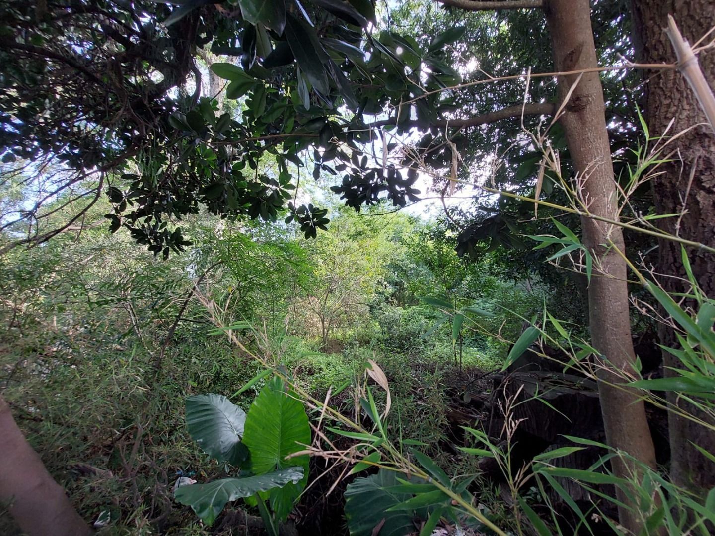 Terreno, 2747 m² - Foto 9