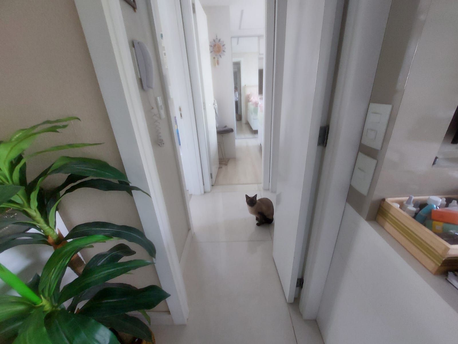 Apartamento, 2 quartos, 60 m² - Foto 48