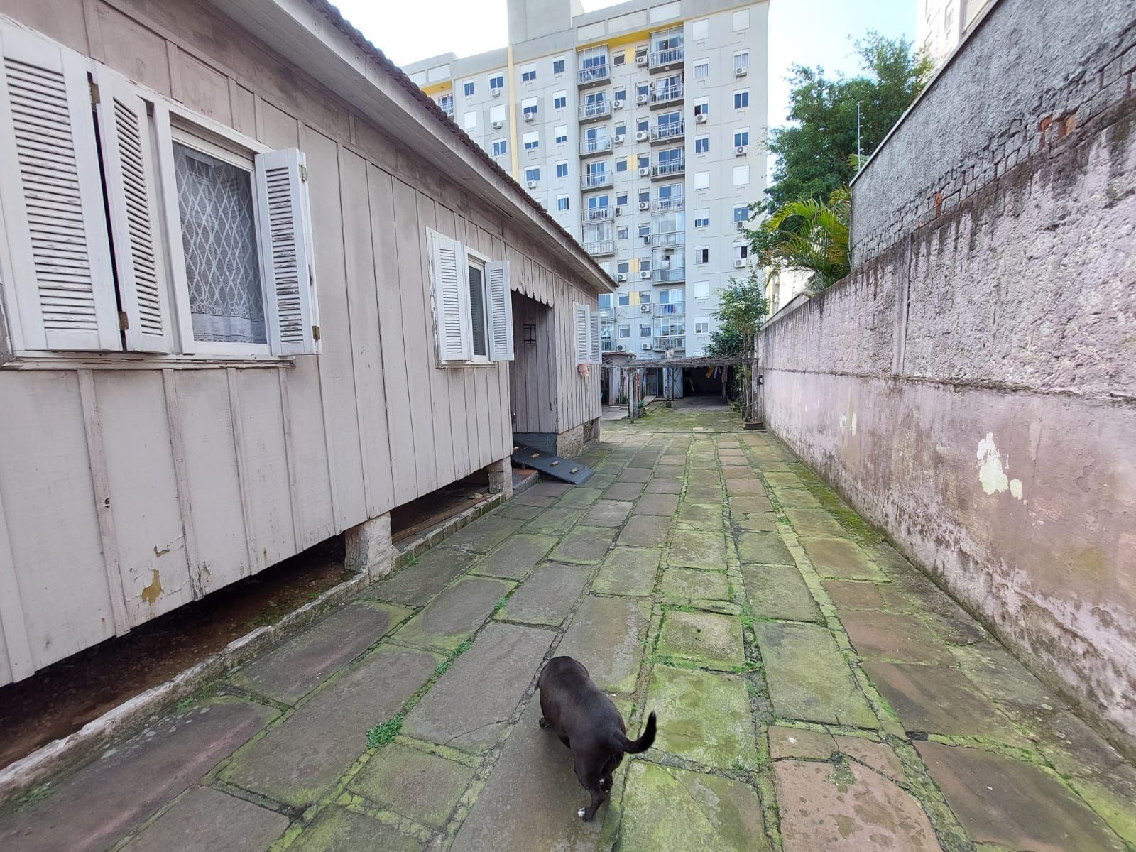 Terreno à venda, 440m² - Foto 8