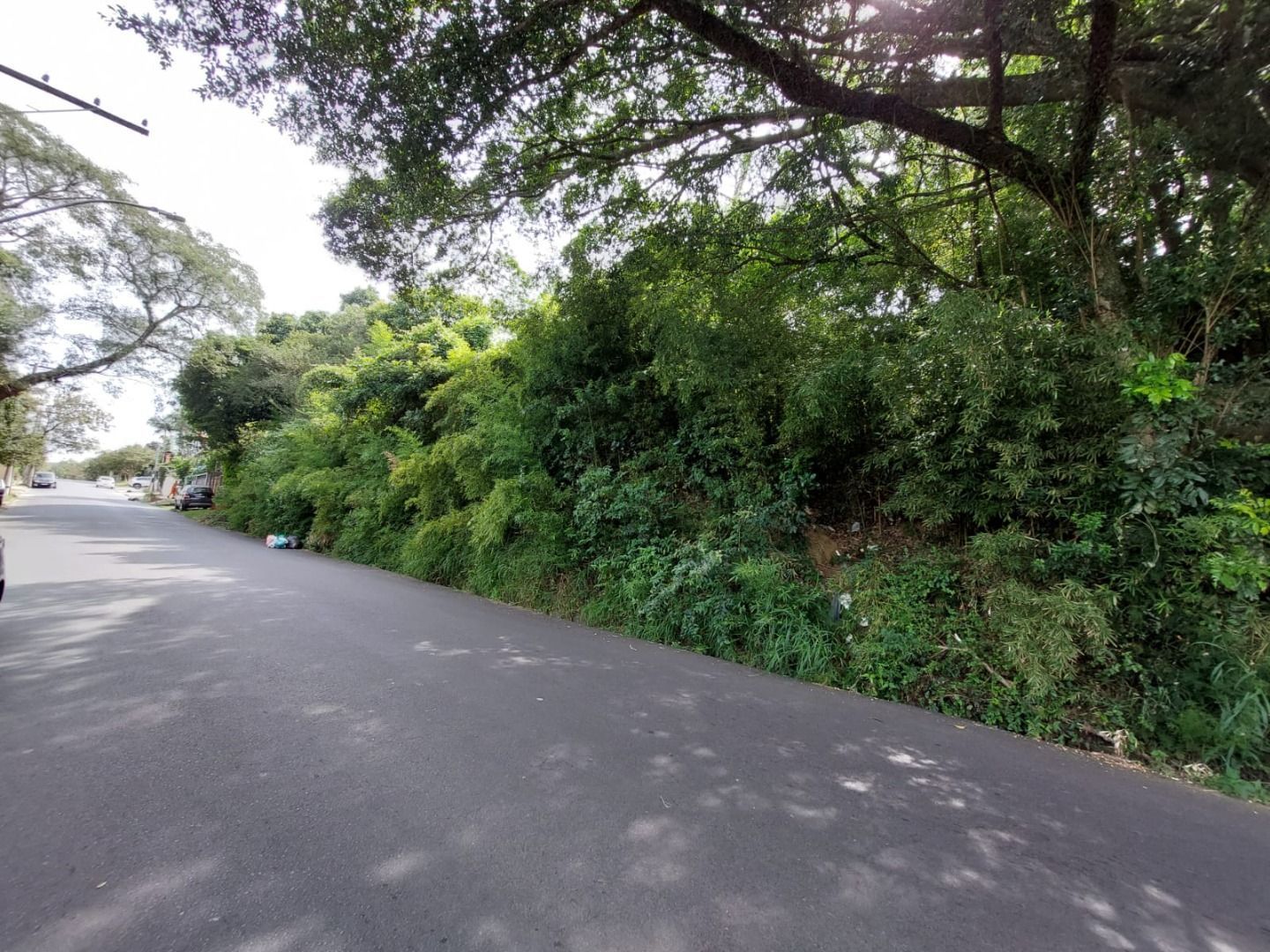 Terreno, 6700 m² - Foto 5