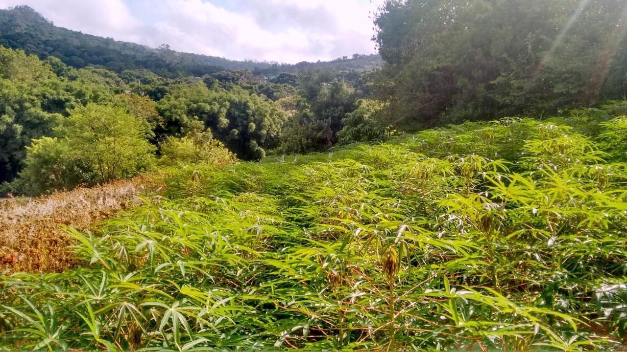 Terreno, 1 hectares - Foto 23