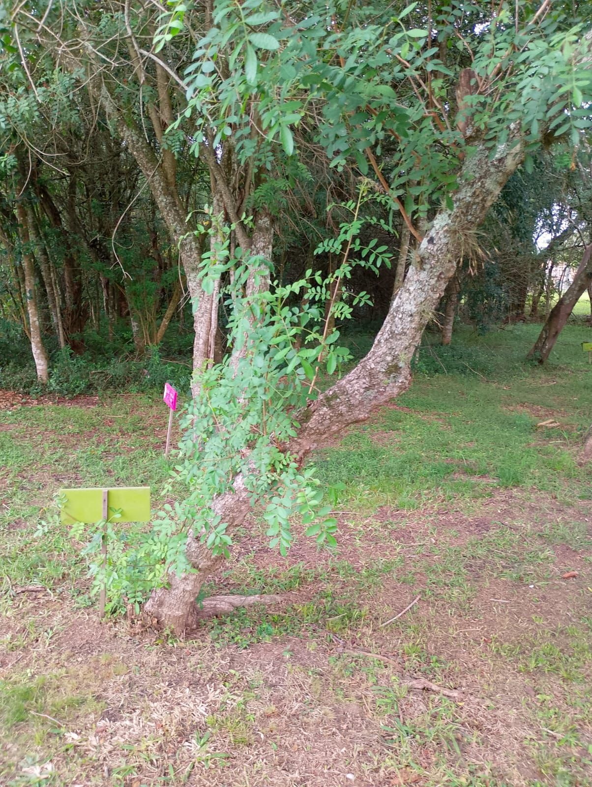 Terreno, 138 m² - Foto 8