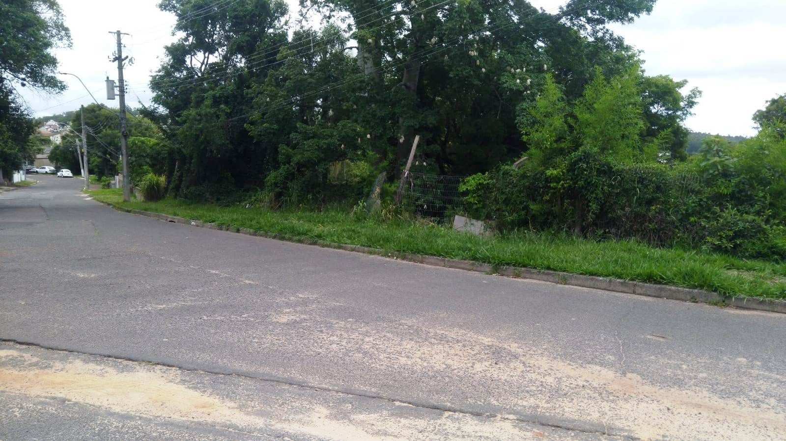 Terreno, 3597 m² - Foto 2