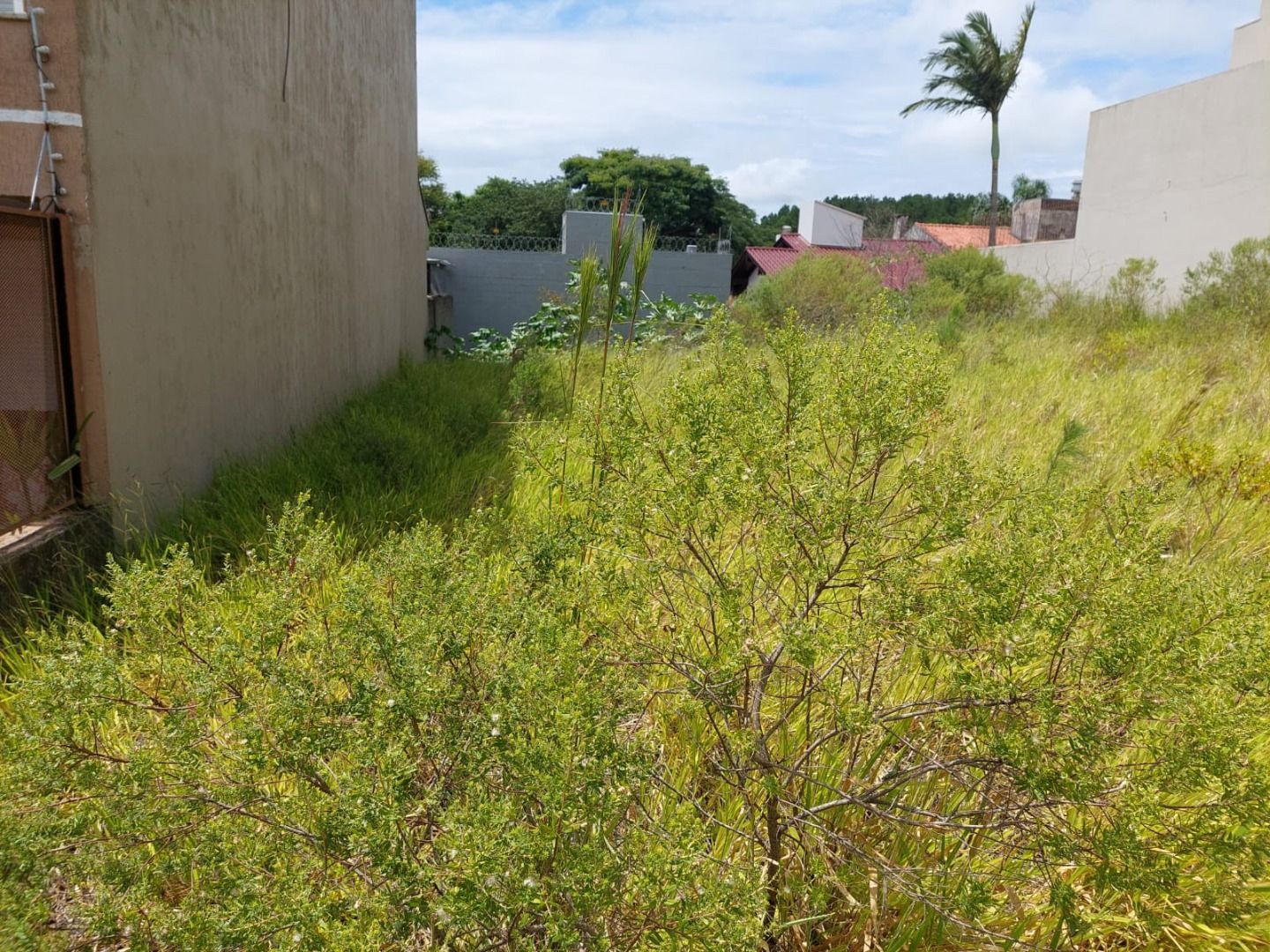 Terreno, 238 m² - Foto 5