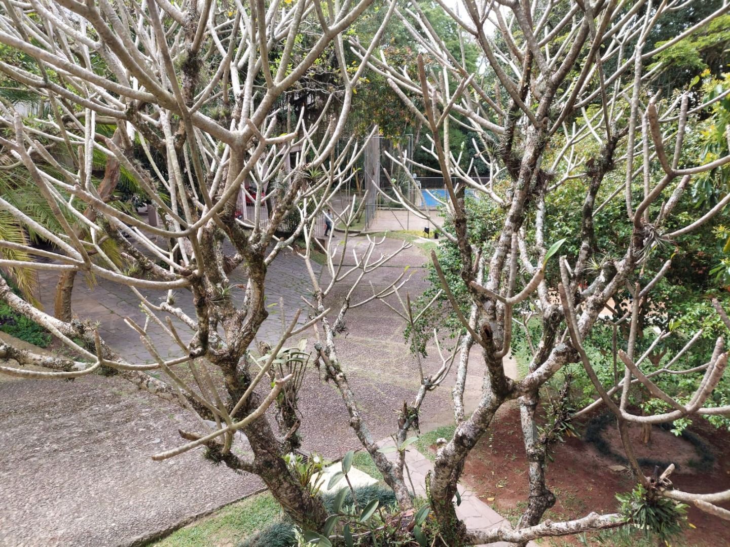 Cobertura à venda com 2 quartos, 112m² - Foto 6