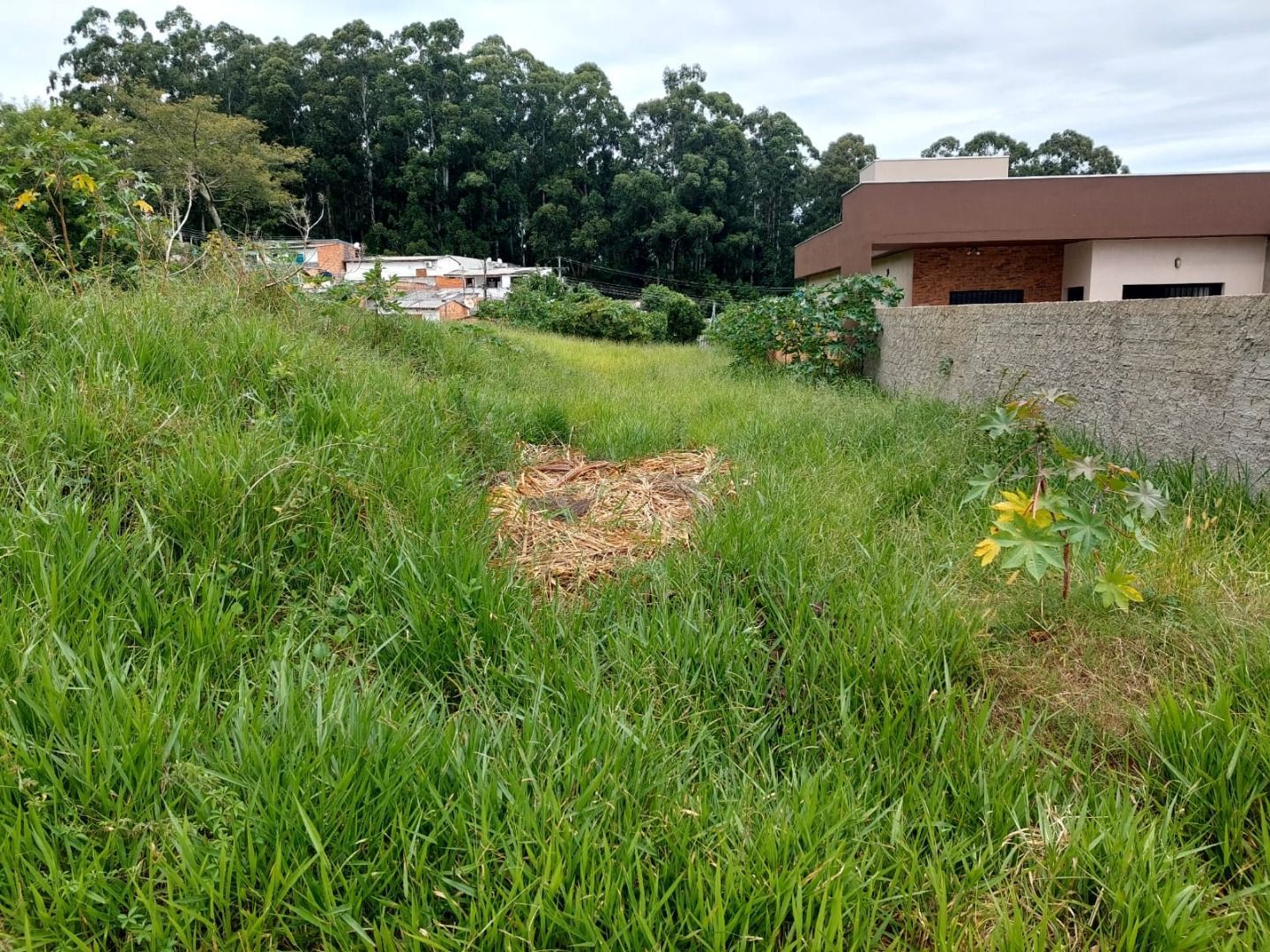 Terreno, 408 m² - Foto 1