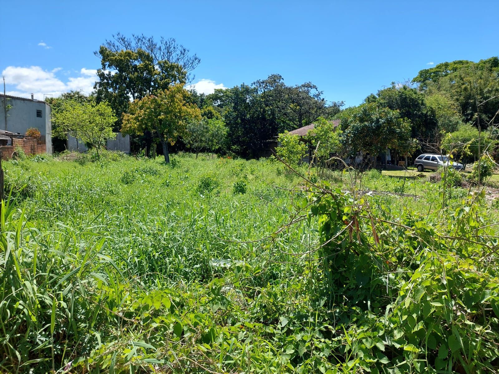 Terreno, 630 m² - Foto 14