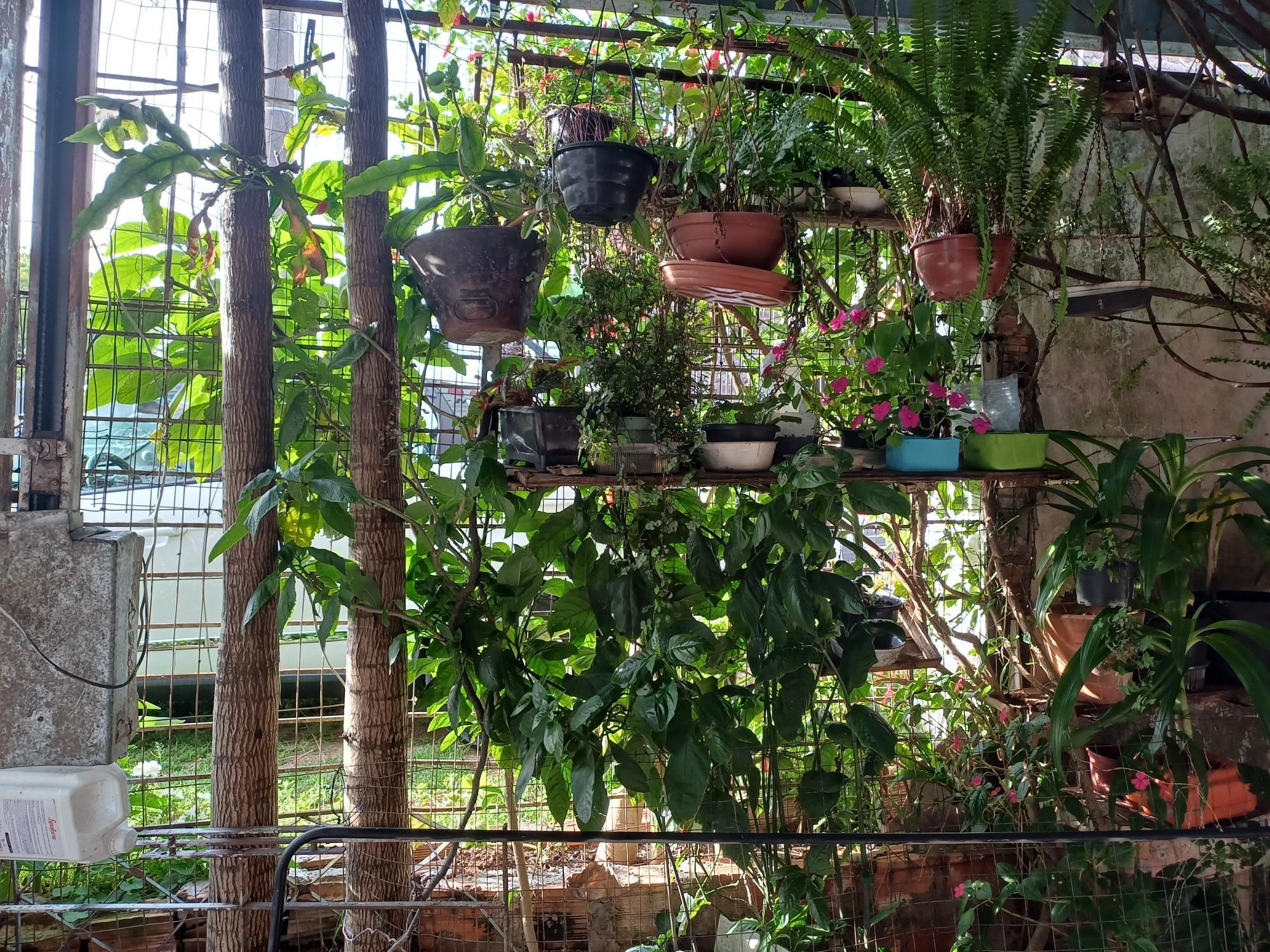 Prédio Inteiro, 300 m² - Foto 4