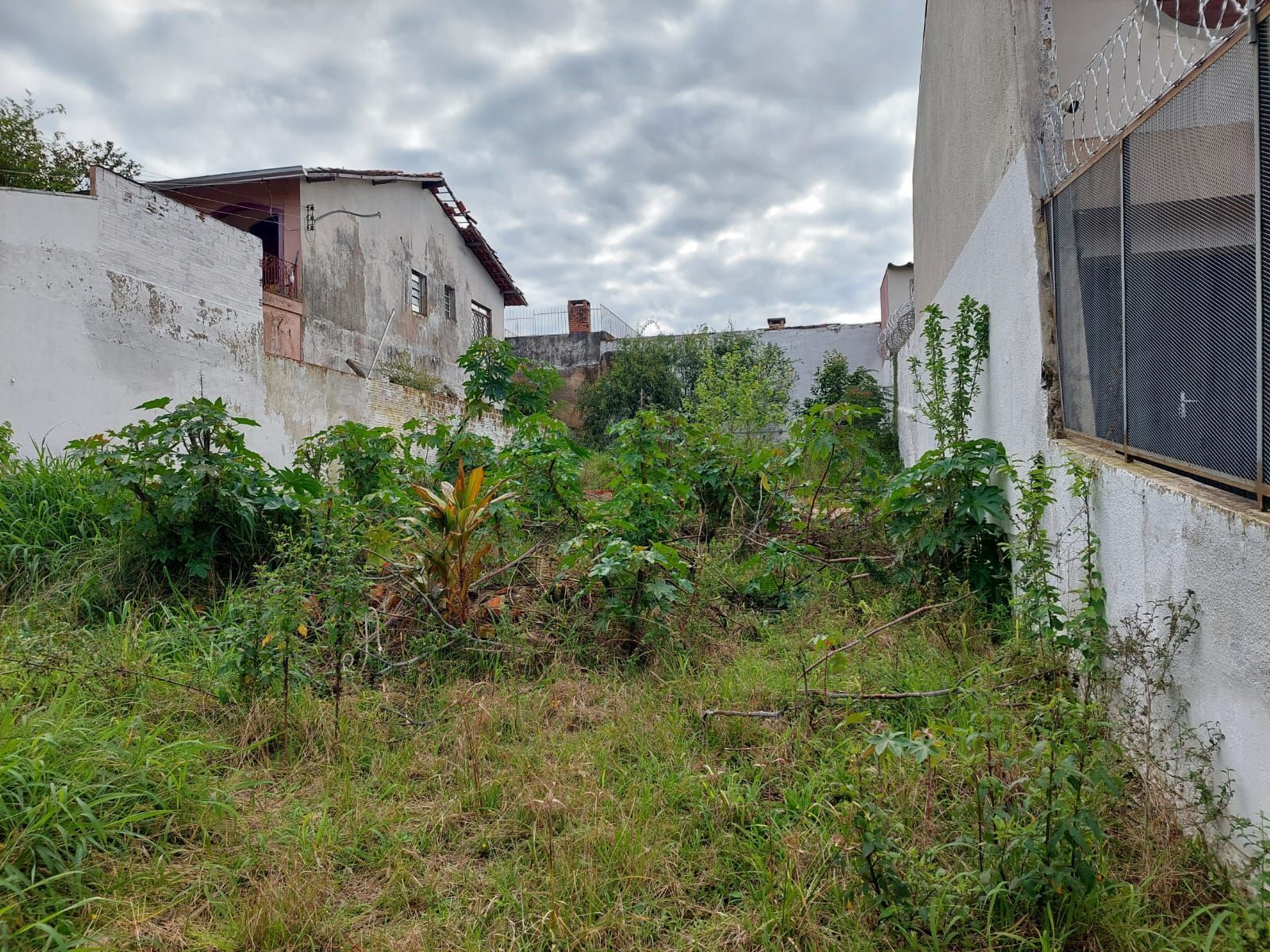 Terreno, 310 m² - Foto 8