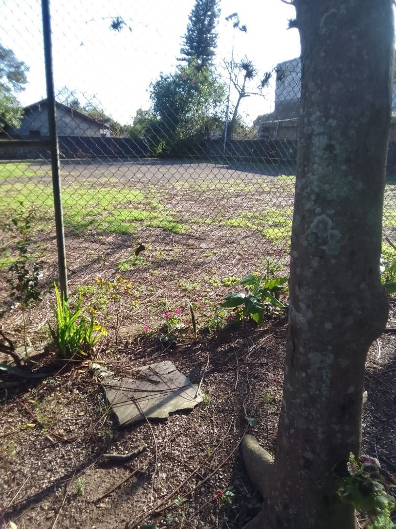 Terreno, 687 m² - Foto 9