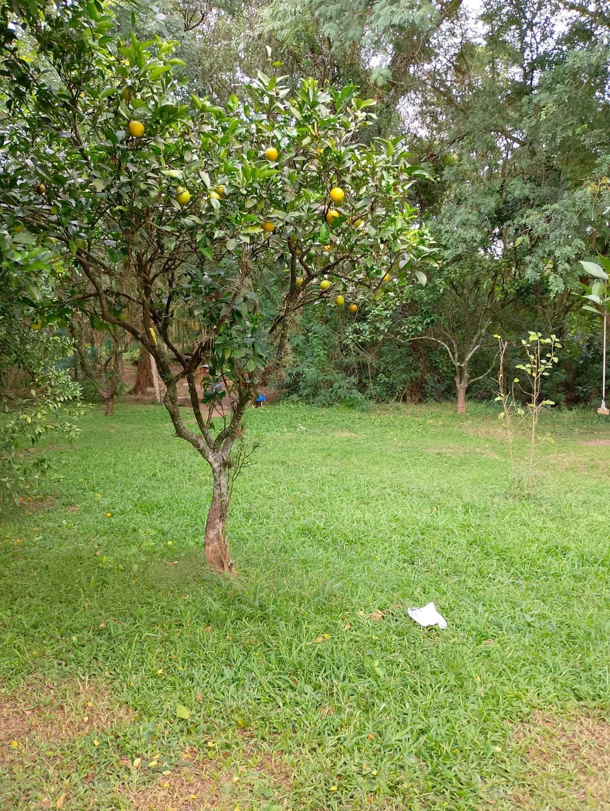 Terreno, 138 m² - Foto 5