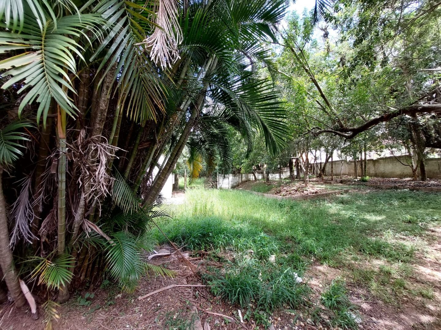 Terreno à venda, 4400m² - Foto 10
