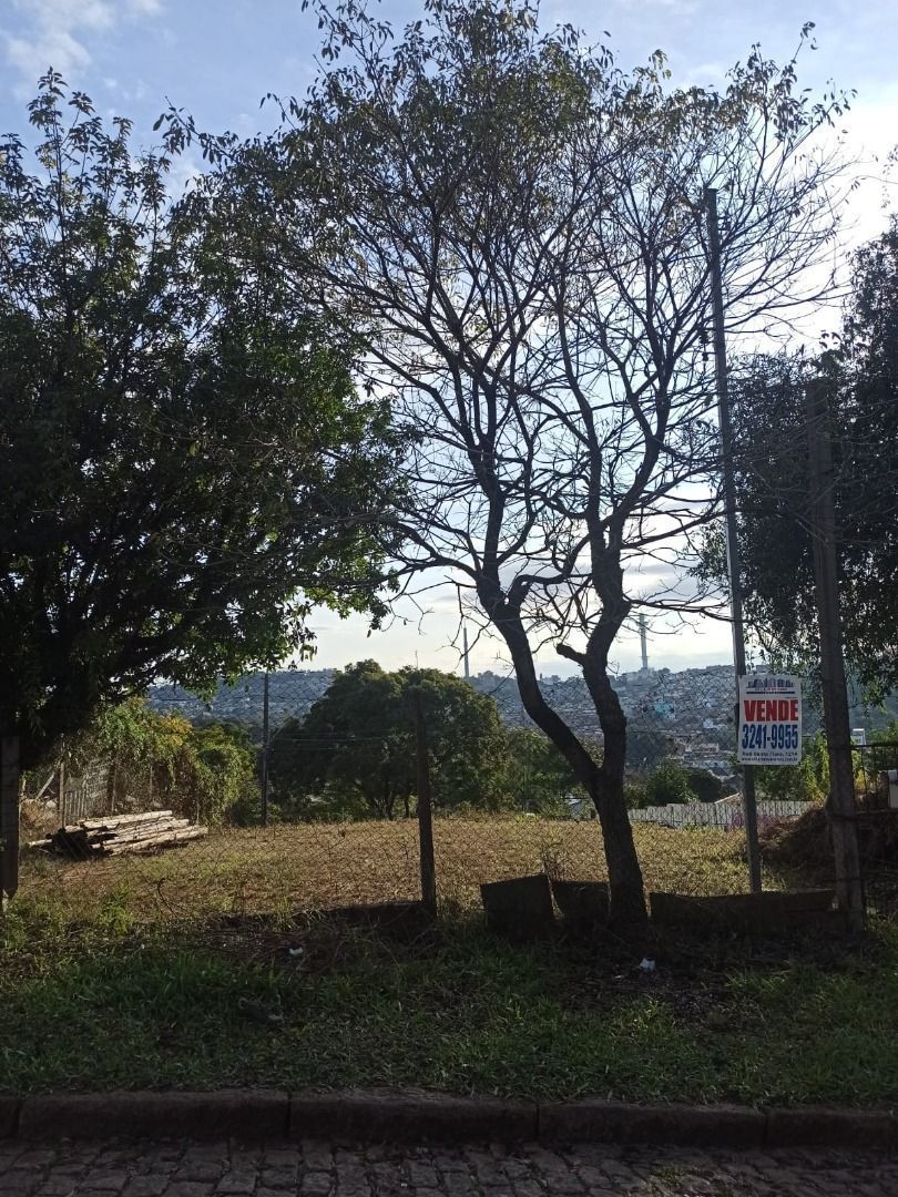 Terreno, 280 m² - Foto 3