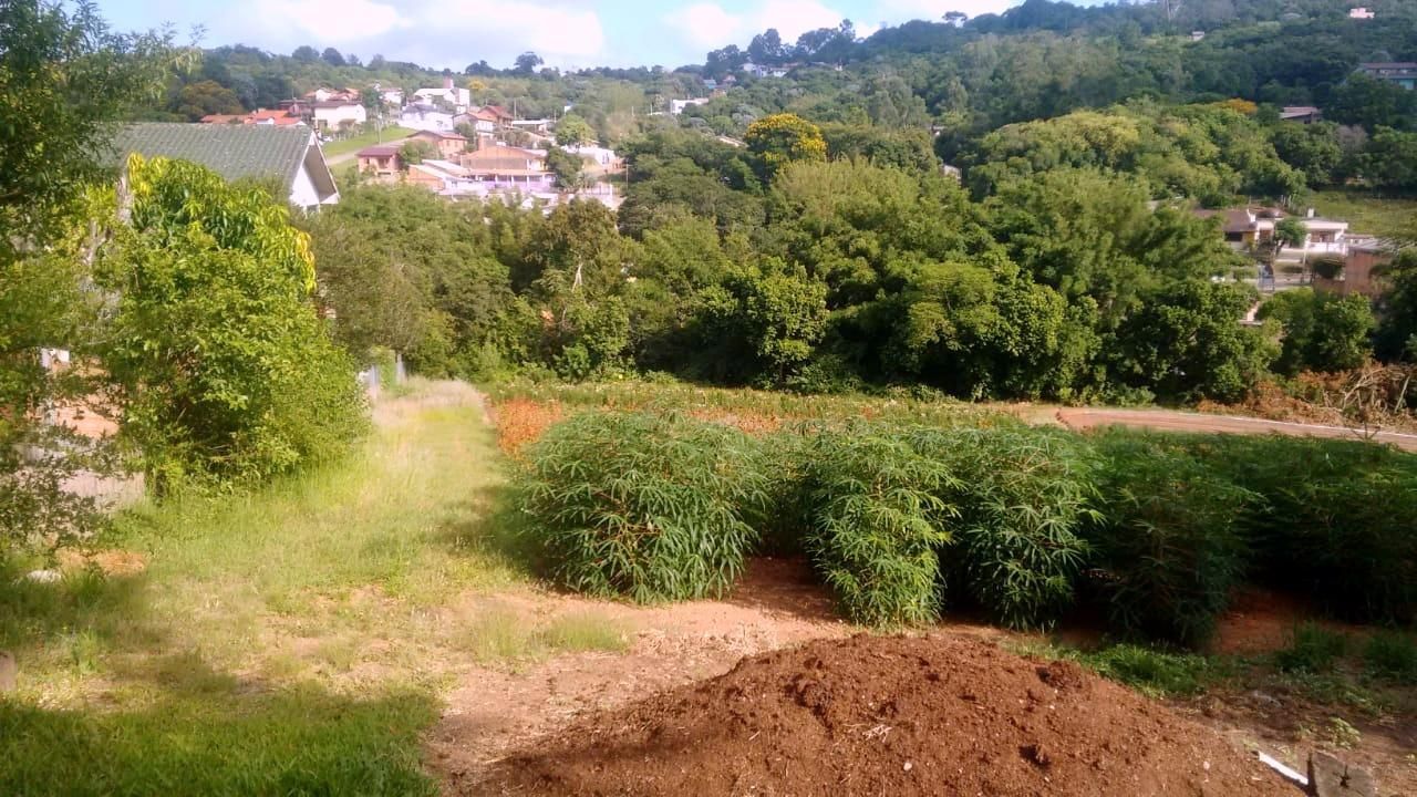 Terreno, 1 hectares - Foto 22