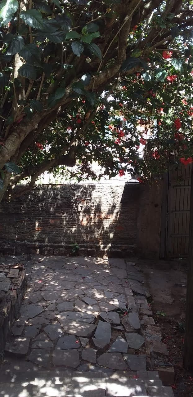 Terreno, 300 m² - Foto 4