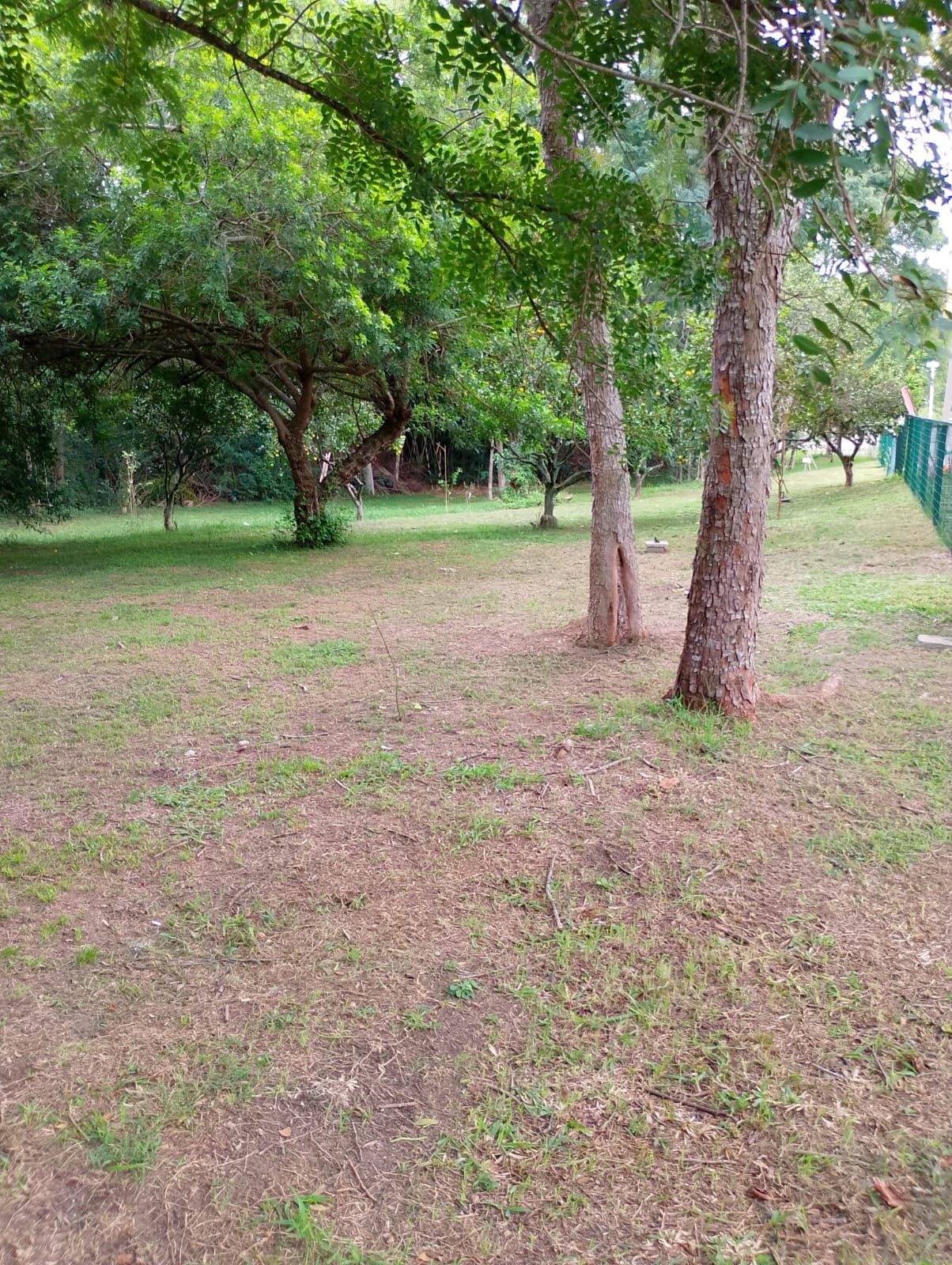 Terreno, 138 m² - Foto 12
