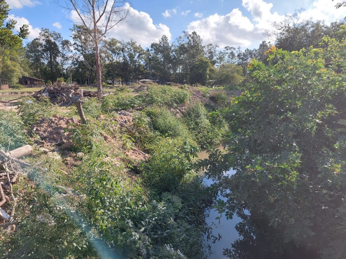 Casa, 4 quartos, 483 m² - Foto 14