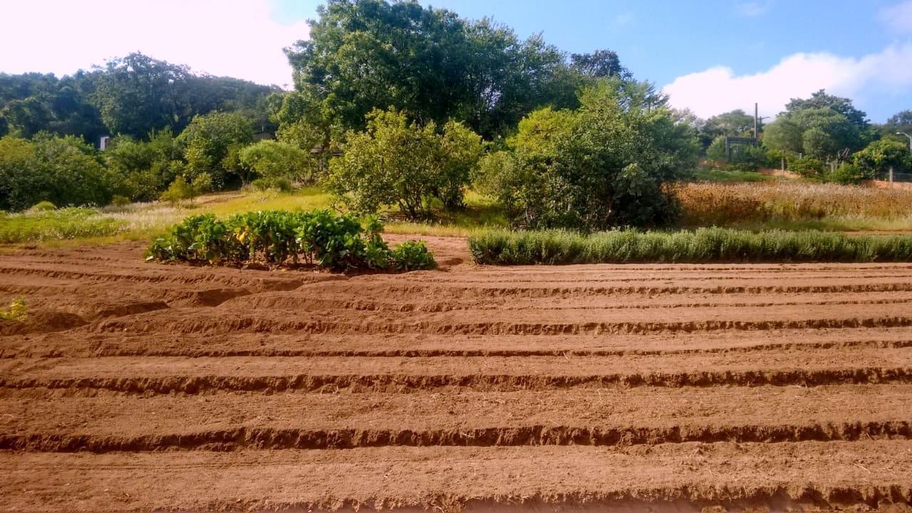 Terreno, 1 hectares - Foto 1