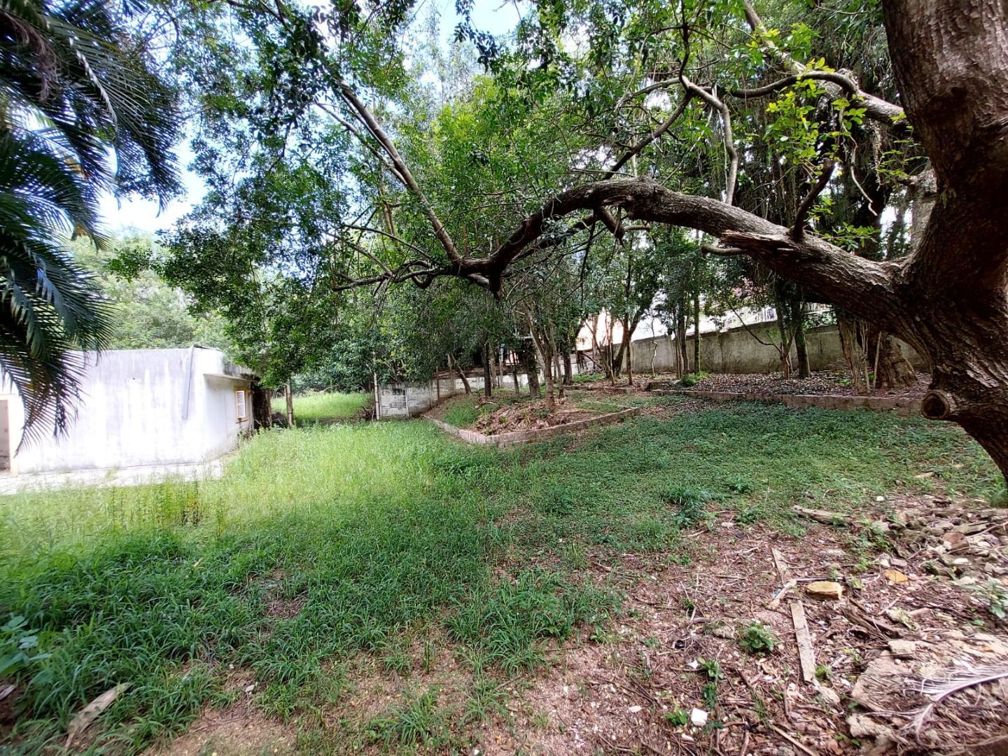 Terreno à venda, 4400m² - Foto 8