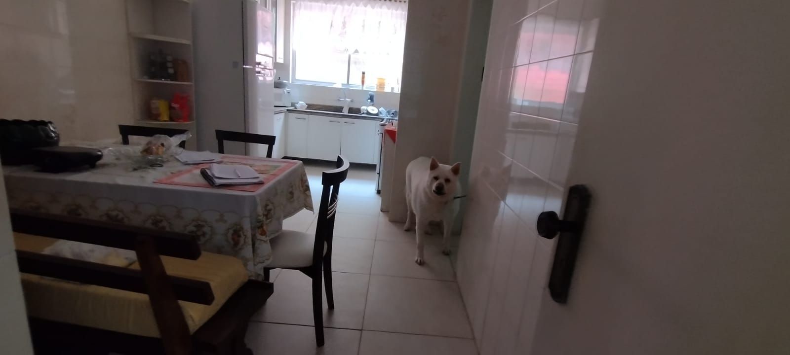 Casa, 3 quartos, 223 m² - Foto 12