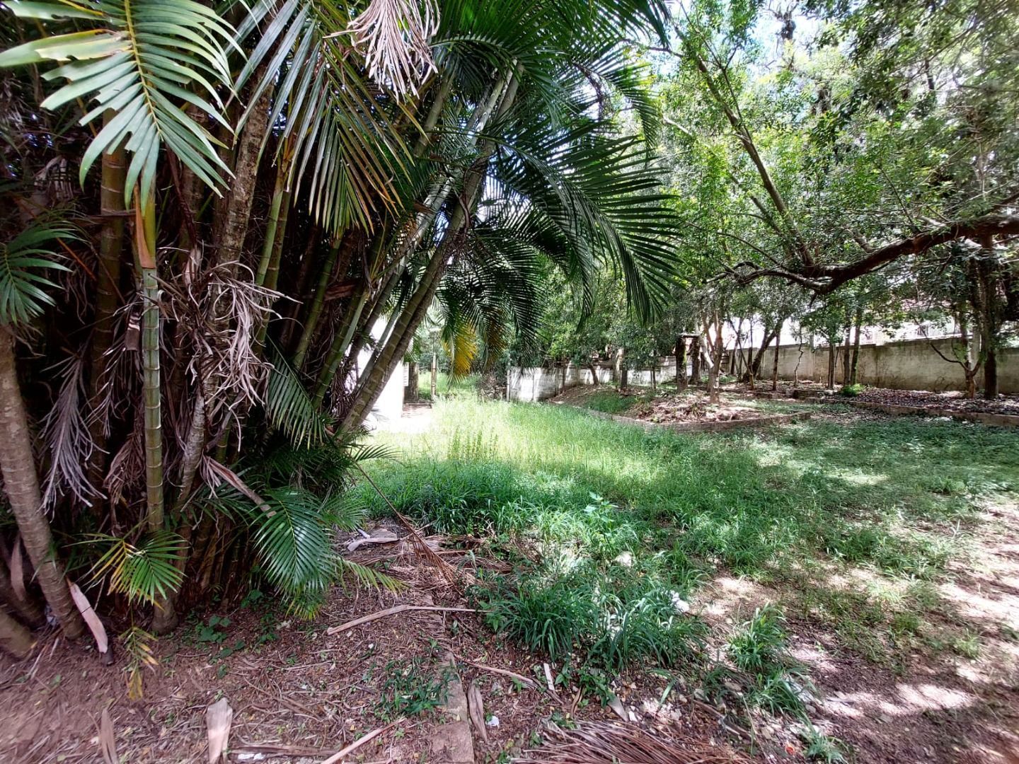 Terreno à venda, 4400m² - Foto 11