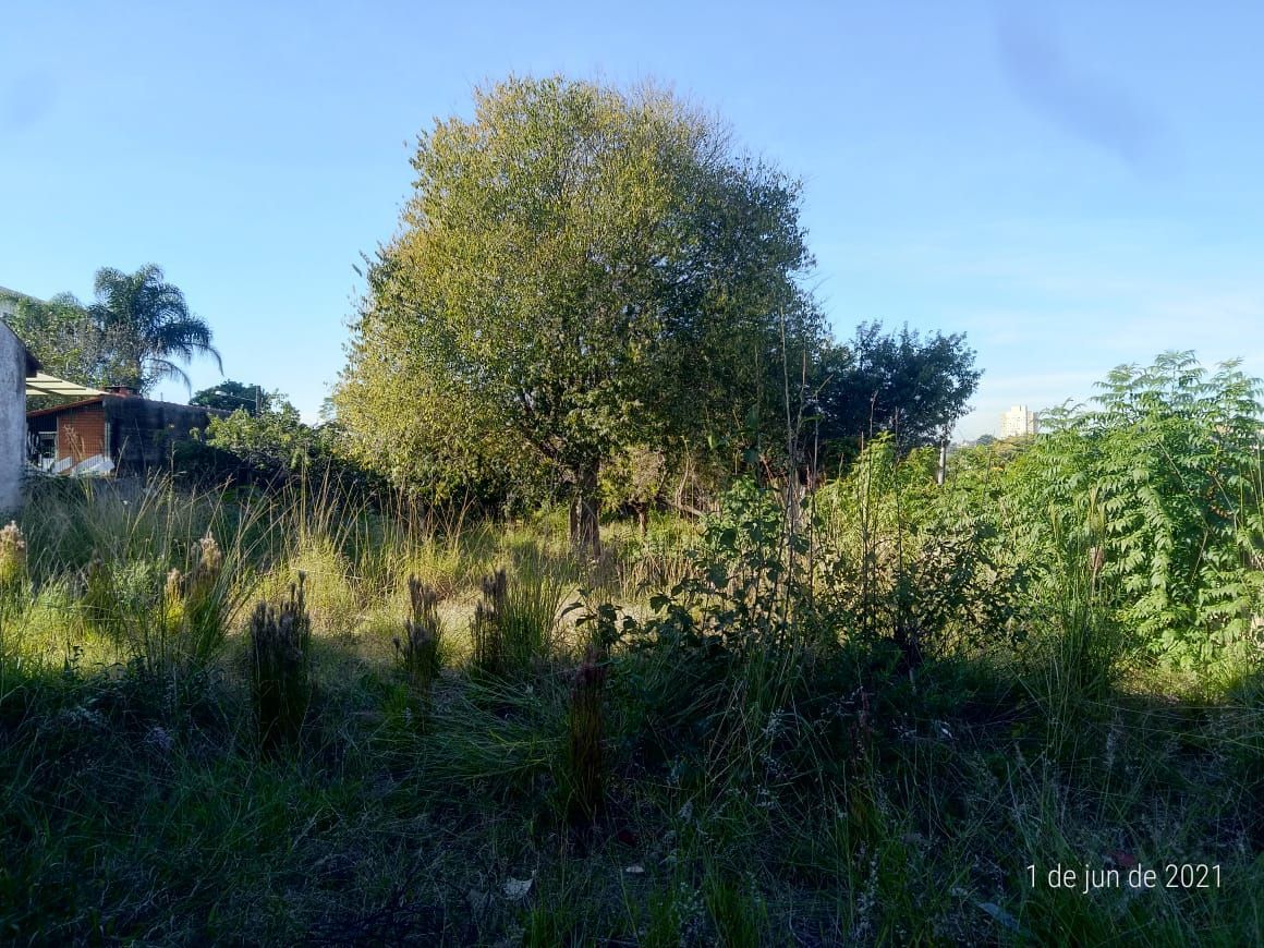 Terreno, 881 m² - Foto 4